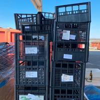 Cassette di plastica (Cestine)