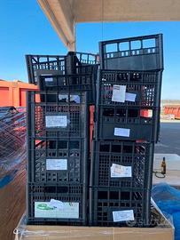 Cassette di plastica (Cestine)