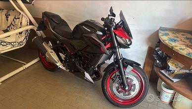 Kawasaki Z500SE 2024 A2