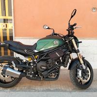BENELLI LEONCINO 800
