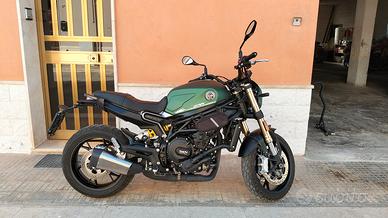 BENELLI LEONCINO 800