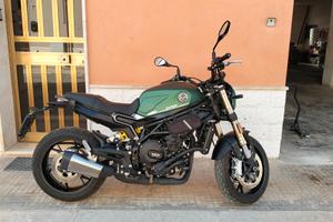 BENELLI LEONCINO 800