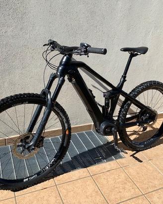 E-bike bulls