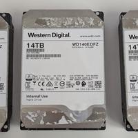 3 HDD WD 14TB modello WD140EDFZ