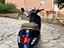 Immagine 3