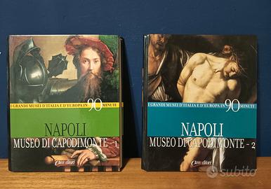 Napoli - Museo di Capodimonte, voll. 1 e 2