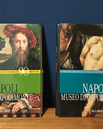 Napoli - Museo di Capodimonte, voll. 1 e 2