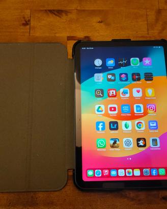 iPad Mini 6 256GB Wi-Fi - Solo 47 cicli ricarica