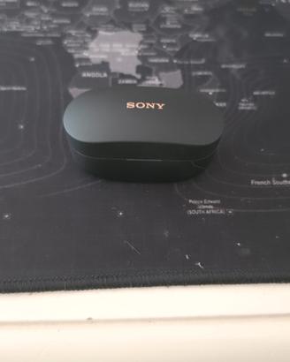 SONY WF-1000XM4