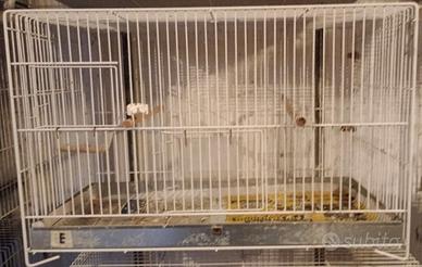 Gabbia per cova