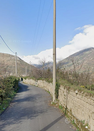 Terreno agricolo di circa 6000 mq