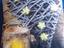 Immagine 1