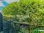 Immagine 23