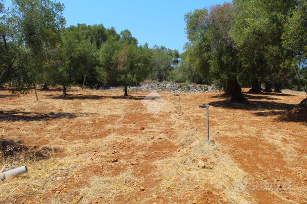 TER. AGRICOLO A CAROVIGNO