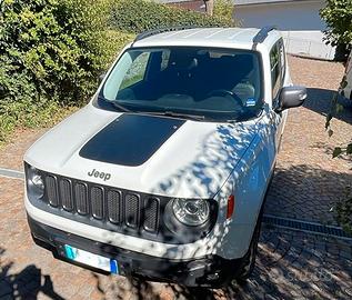 Jeep Renegade 2.0Mjt 170CV Trailhawk Low Range aut
