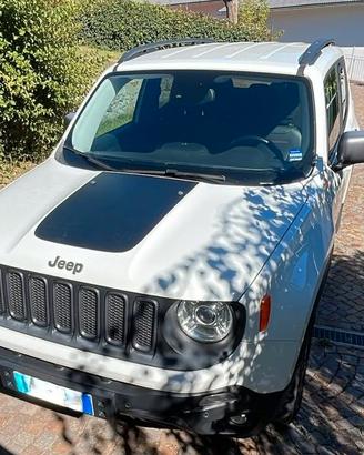 Jeep Renegade 2.0Mjt 170CV Trailhawk Low Range aut