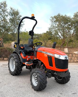 Trattorino TAFE modello 6028 M - PROMO ATTREZZO