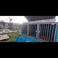 Carrello trasporto cani