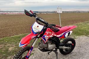 pit bike 125 rfz apollo