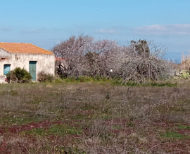 Terreno agricolo comune Calasetta loc. Cussorgia