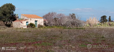 Terreno agricolo comune Calasetta loc. Cussorgia