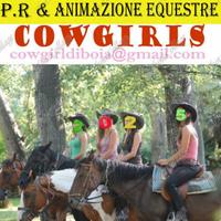 Cavalli e mini pony mezza fida