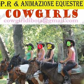 Cavalli e mini pony mezza fida