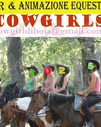 Cavalli e mini pony mezza fida