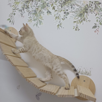 Gatto del bengala