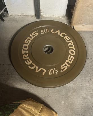 Pesi e bilanciere Lacertosus