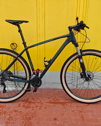 Mountain bike bianchi XL