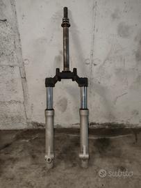 forcella Malaguti password 