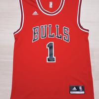Chicago Bulls Derrick Rose 