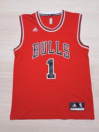 Chicago Bulls Derrick Rose 