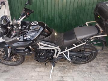 tyger 800 perfetta