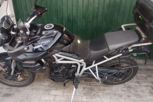 tyger 800 perfetta