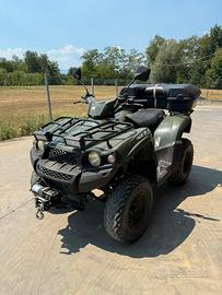 Quad 300 da lavoro