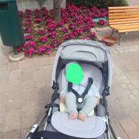 Passeggino Bugaboo