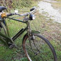 bicicletta uomo vintage Raleigh Royal Roadster