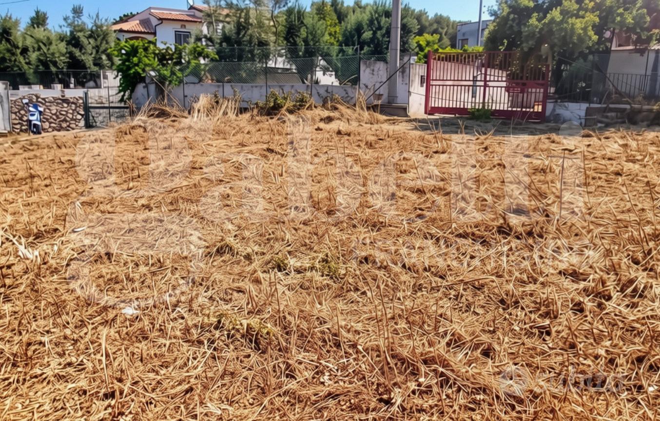 Terreno Agricolo Gaeta [Cod. rif T52VCG] - Vista 4