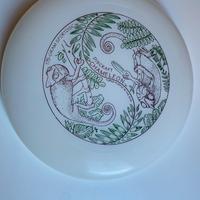 Frisbee - Flying disc - Discraft - Boomerang