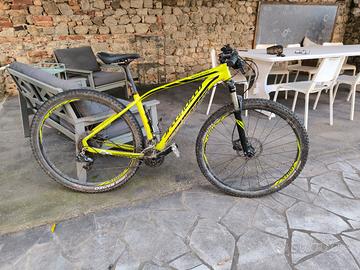 MTB Specialized