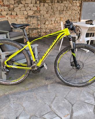 MTB Specialized