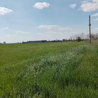 Casa +stalla+terreno agricolo