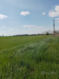 Casa +stalla+terreno agricolo