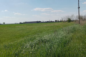 Casa +stalla+terreno agricolo