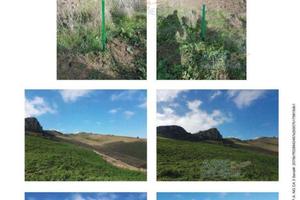 Terreno Agricolo Caccamo [A4305567]