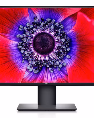 Monitor Dell U2520D IPS 25" Pollici 2560x1440 QHD