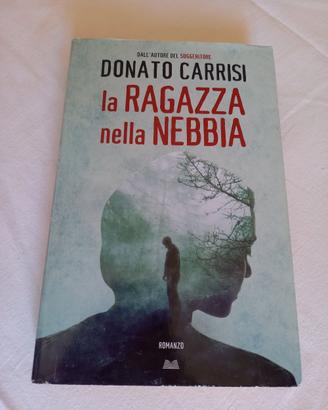 La ragazza nella nebbia
