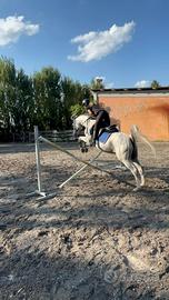 Arabo castrone mezza fida o fida completa